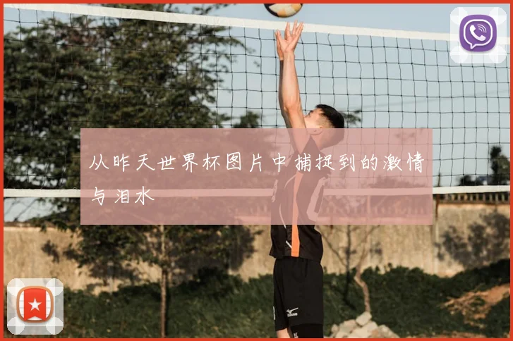 从昨天世界杯图片中捕捉到的激情与泪水