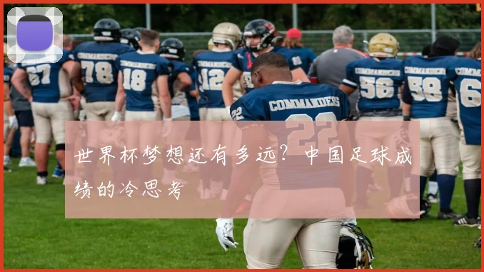 世界杯梦想还有多远？中国足球成绩的冷思考