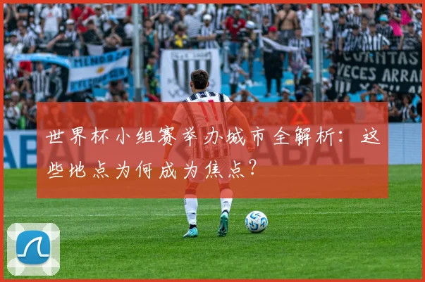 世界杯小组赛举办城市全解析：这些地点为何成为焦点？