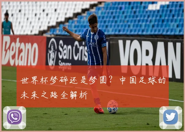 世界杯梦碎还是梦圆？中国足球的未来之路全解析