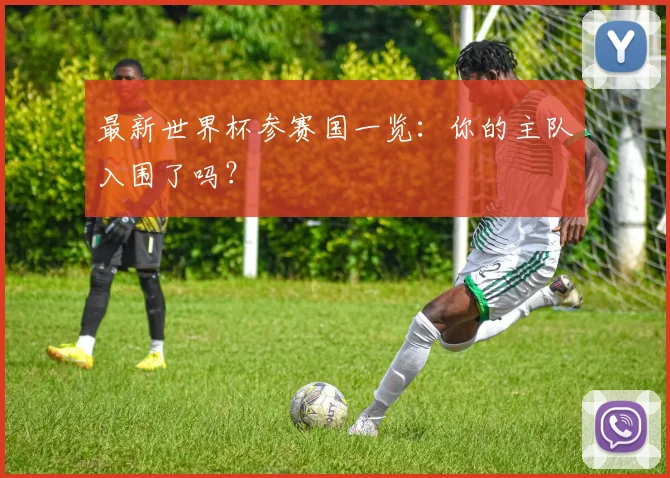 最新世界杯参赛国一览:你的主队入围了吗?