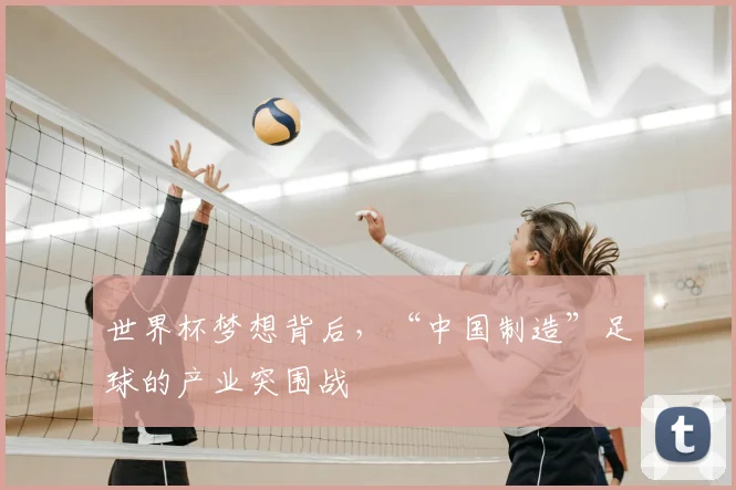 世界杯梦想背后，“中国制造”足球的产业突围战