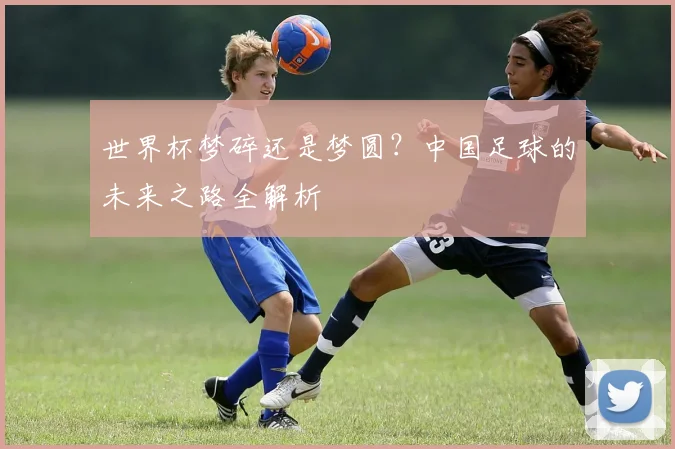 世界杯梦碎还是梦圆？中国足球的未来之路全解析