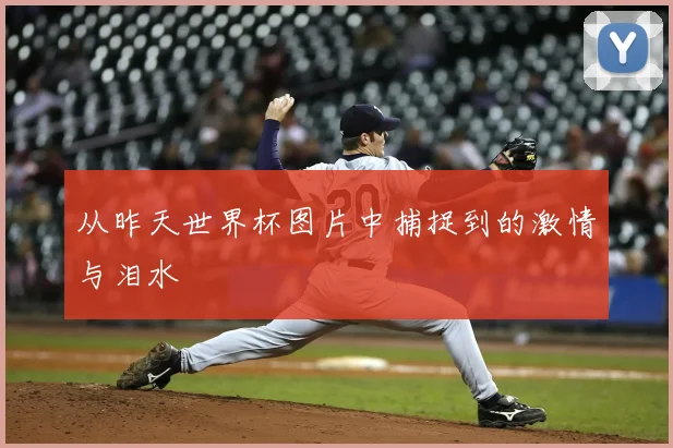 从昨天世界杯图片中捕捉到的激情与泪水