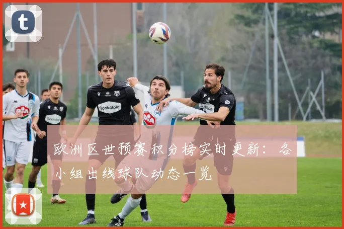 欧洲区世预赛积分榜实时更新：各小组出线球队动态一览