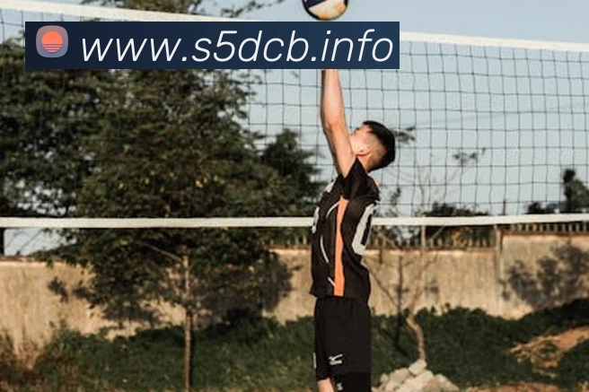 九游在线登录服务体系