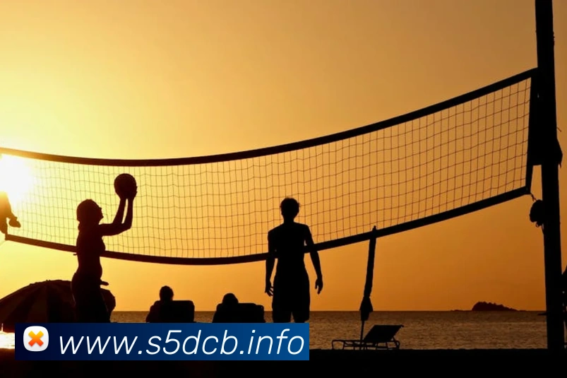 多媒体互动体验